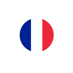 france icon