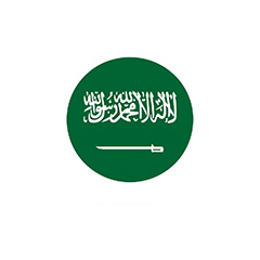 saudi icon