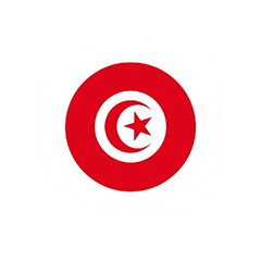 tunisie icon